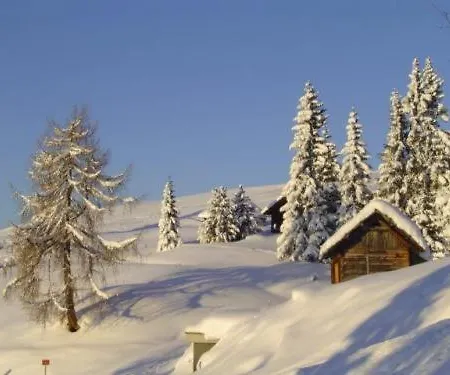 Almhotel Fichtenheim 3*