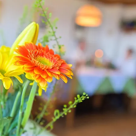 Almhotel Fichtenheim Otel 3*