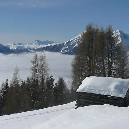 Hotel Almhotel Fichtenheim Berg im Drautal