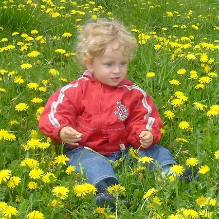 Otel Almhotel Fichtenheim