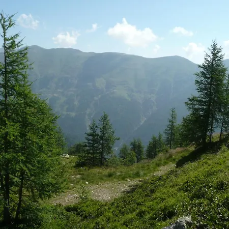 Almhotel Fichtenheim Berg im Drautal