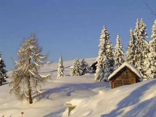 Almhotel Fichtenheim 3*