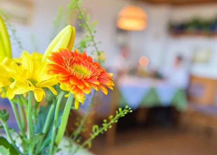 Almhotel Fichtenheim Hotel 3*