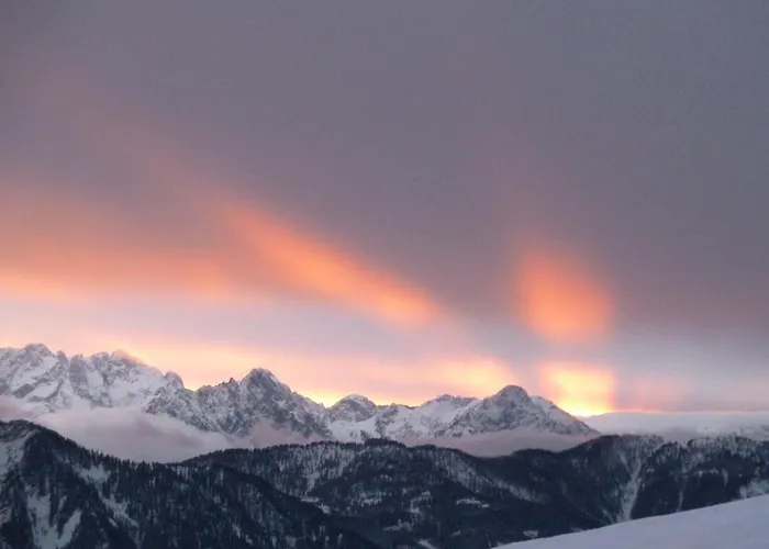 Almhotel Fichtenheim