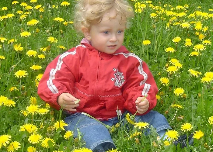 Hotel Almhotel Fichtenheim