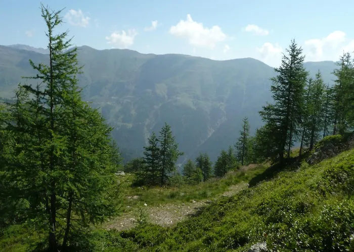 Almhotel Fichtenheim Berg im Drautal